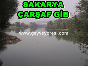 Sakarya Nehri Çarşaf Gibi. 19.10.2012