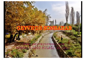 Geyve’de Sonbahar Hüznü