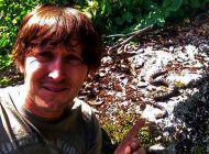 Pamukova Kemaliye Köyü Ormanlarında Boynuzlu Engerek Yılanı