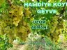 Geyve’de Üzüm Zamanı Halidiye Köyü Geyve Sakarya Üzüm
