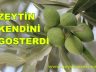Zeytin Yaprağının Faydaları