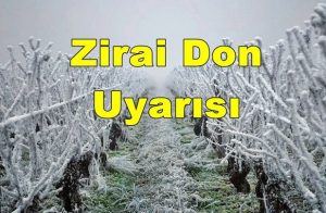 Geyve Yöresi İçin Zirai Don Uyarısı