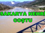 Sakarya Nehri Coştu, Debisi Yükseldi.