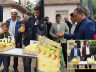 2017 Yılı Dünyanın En Kaliteli Ayvası Geyve Burhaniye Köyü Buse Kara