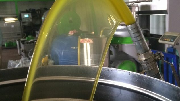 Geyve İlçesinde Zeytin Yağı Çıkartma İşlemi Sürüyor