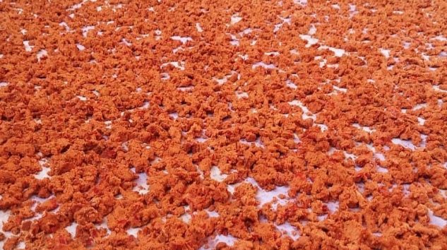 Geyve ve Köylerinde Kışlık Tarhana Çorbaları Hazırlanıyor