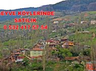 Geyve Alifutpaşa köprübaşı köyü Antalya yolu ve sakarya nehri manzaralı 3900 metrekare