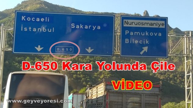 Eskişehir- Adapazarı yolu ve Geyve, Pamukova, Taraklı İlçelerinin Kullandığı D-650 Kara Yolunda Çile