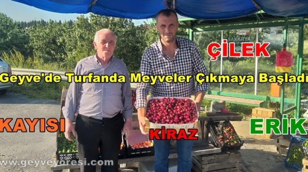 Sakarya İli Geyve İlçesinde 2025 Yılının Turfanda Meyveleri Satışa Sunulmaya Başladı.