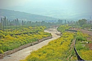 Evliya Çelebi Seyahatnamesi Geyve Bölümü 741-742 Sayfa