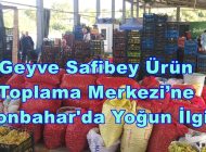 Geyve Safibey Ürün Toplama Merkezi’ne Sonbahar’da Yoğun İlgi