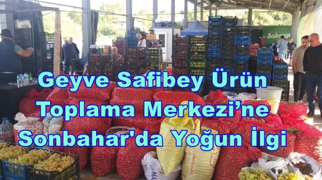 Geyve Safibey Ürün Toplama Merkezi’ne Sonbahar’da Yoğun İlgi