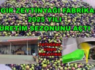 Geyve Doğantepe Köyü Tıngır Zeytinyağı Fabrikası 2025 Üretim Sezonunu Açtı