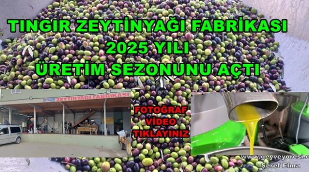 Geyve Doğantepe Köyü Tıngır Zeytinyağı Fabrikası 2025 Üretim Sezonunu Açtı