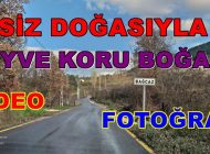 Eşsiz Doğasıyla Geyve Koru Boğazı  Geyve Yöresi Belpınar Saray
