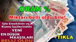 Milyonları İlgilendiriyor: Yeni Yılın İlk Zammı Emeklilere Geldi!