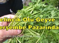 Gelincik Otu Geyve Perşembe Pazarında Satışa Sunuldu.