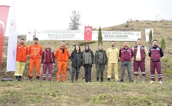 Geyve İlçesinde Yangın Sahasına Fidan Dikildi