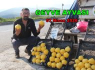 Eşme Köyü Çiftçilerinden Kadir Ergin, Bu Tarihte Geyve Ayvası Satıyor