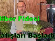 Geyve İlçesinde Yaz Sezonu İçin Biber ve Çeşitleri Fidesi Satışları Başladı