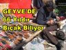 Geyve’li Bıçakçı Yusuf ALTUN Kurban   Bıçaklarını 66 Yıldır Biliyor.