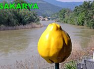 Sakarya Nehri Geyve Alifuatpaşa Geyve Yöresi Görsel Fotoğraf Manzara Görüntü