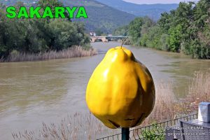 Sakarya Nehri Geyve Alifuatpaşa Geyve Yöresi Görsel Fotoğraf Manzara Görüntü