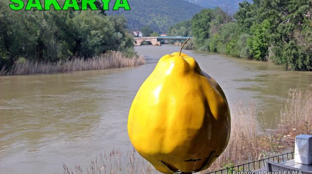 Sakarya Nehri Geyve Alifuatpaşa Geyve Yöresi Görsel Fotoğraf Manzara Görüntü