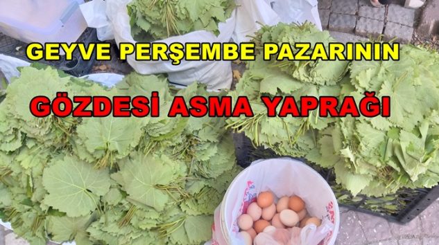 Geyve Perşembe Pazarının Gözdesi Asma Yaprağı