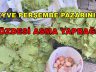 Geyve Perşembe Pazarının Gözdesi Asma Yaprağı