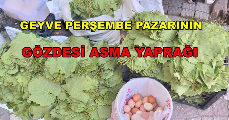 Geyve Perşembe Pazarının Gözdesi Asma Yaprağı