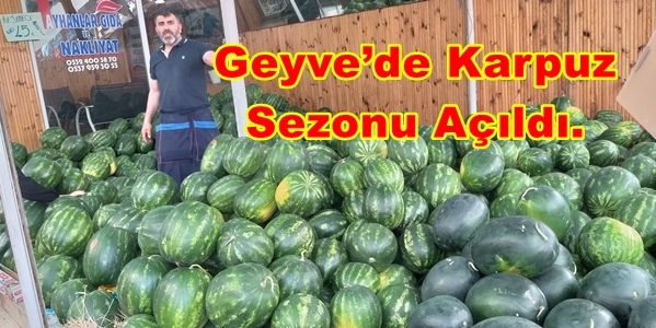 Geyve’de Karpuz Sezonu Açıldı, Adana Karpuzu Tezgahlardaki Yerini Aldı.