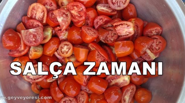 Geyve’de Salça Sezonu Açıldı, Kışlık Salça Yapımı Başladı