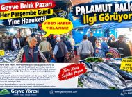 Geyve Balık Pazarı Her Perşembe Günü Olduğu Gibi Yine Hareketli: Palamut Balığı İlgi Görüyor