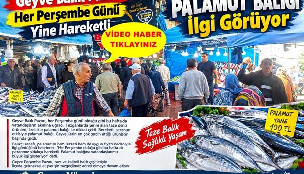 Geyve Balık Pazarı Her Perşembe Günü Olduğu Gibi Yine Hareketli: Palamut Balığı İlgi Görüyor