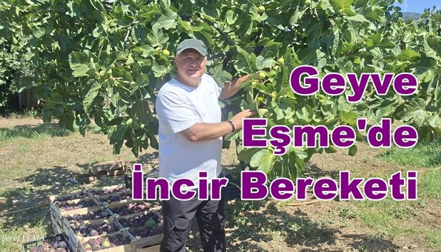 Geyve Eşme’de İncir Bereketi: Soner Karakaya Hem İkram Ediyor Hem Satıyor