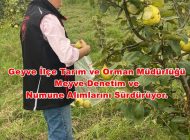 Geyve İlçe Tarım ve Orman Müdürlüğü Meyve Denetim