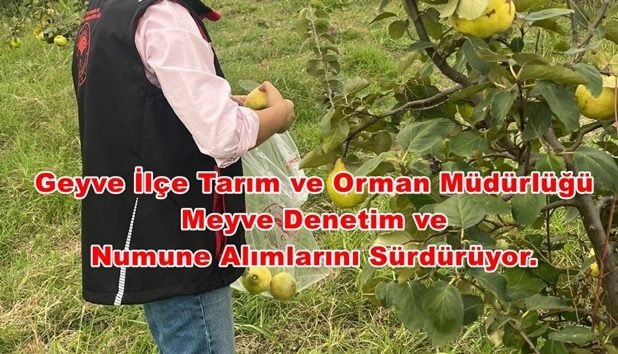 Geyve İlçe Tarım ve Orman Müdürlüğü Meyve Denetim