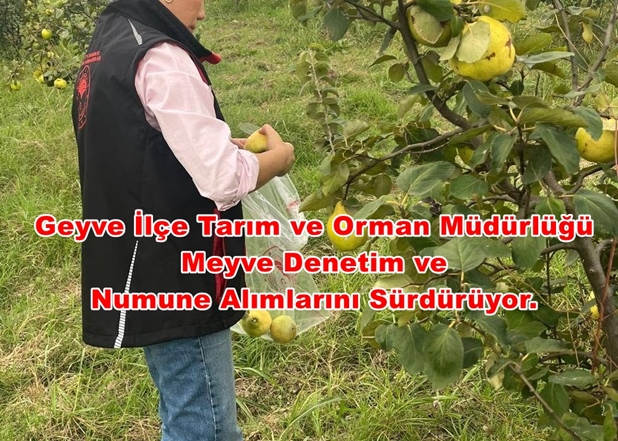 Geyve İlçe Tarım ve Orman Müdürlüğü Meyve Denetim
