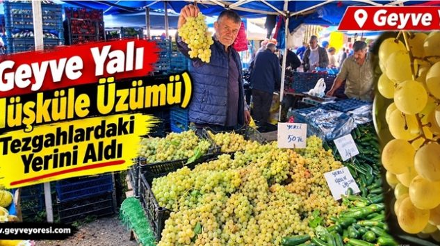 Geyve Yalı (Müşküle Üzümü) Tezgâhlardaki Yerini Aldı
