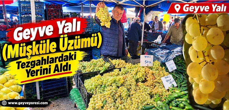 Geyve Yalı (Müşküle Üzümü) Tezgâhlardaki Yerini Aldı