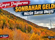 Geyve Dağlarına Sonbahar Geldi: Hüzün Sarısı Oluştu