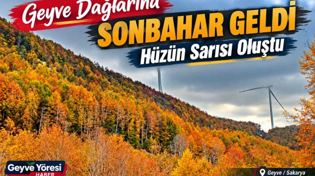 Geyve Dağlarına Sonbahar Geldi: Hüzün Sarısı Oluştu