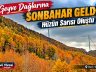 Geyve Dağlarına Sonbahar Geldi: Hüzün Sarısı Oluştu