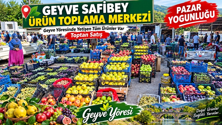 Geyve Safibey Ürün Toplama Merkezi Pazar Yoğunluğu