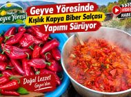 Geyve Yöresinde Kışlık Kapya Biber Salçası Yapımı Sürüyor