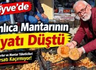 Geyve’de Kanlıca Mantarı Bollaştı, Fiyatlar Geriledi.
